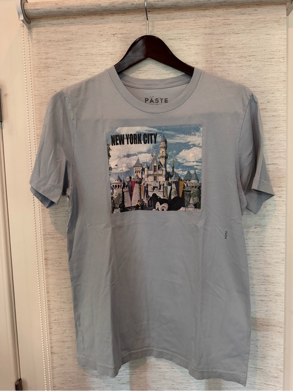 PASTE by Jason Laurits Brooklyn Screenprinted T-Shirt - New York City Castle